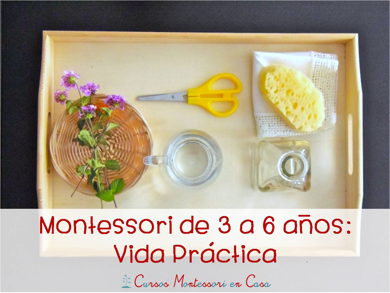 Curso 